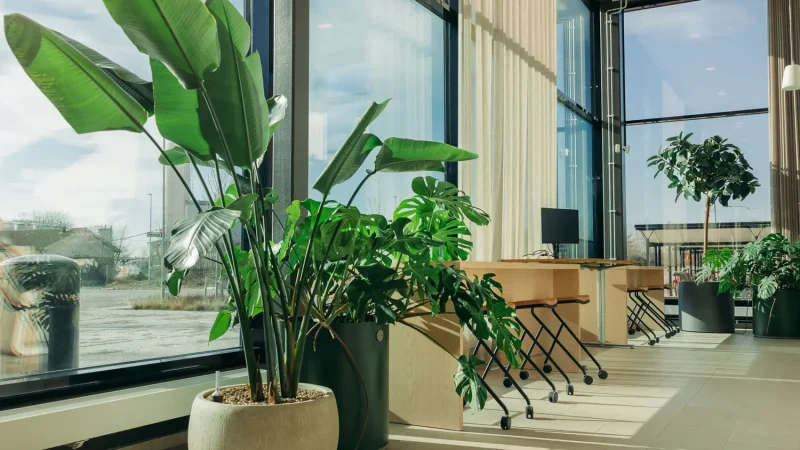 foretagsvaxter-happy-boss-half-img-2