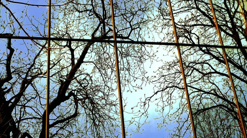 Höst utanför kontoret